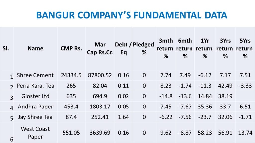 Bangur company's fundamental data